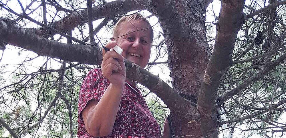 Kollegin beim Geocache-Fund im Baum